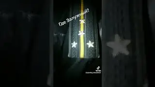 где Залужный? 