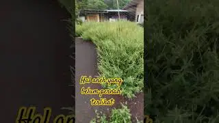 kasian lapanganya