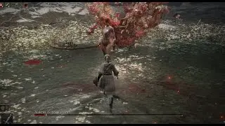 Elden Ring - Malenia [Parry/No Hit/NG+2] 3:17:10 (PB)