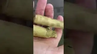 Город призрак Горный. 
