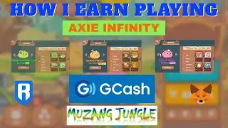 How You Can Earn in Playing Axie Infinity (14-days)
