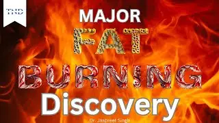 Fat Burning Hormone Discovered
