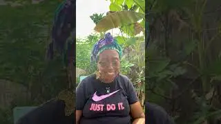 Peace : Take A Minute To Relax