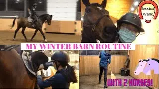 My Winter Barn Routine