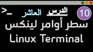 10- أوامر أساسية  في كالي لينكس يجب عليك معرفتها