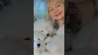 Есть свободная девочка самоед 