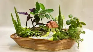 Cute Fairy Garden | DIY Fun Gardening Ideas with Indoor Plants for beginners step by step | India