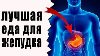 ТОП - 8, Лучшие Продукты Для Здоровья Желудка