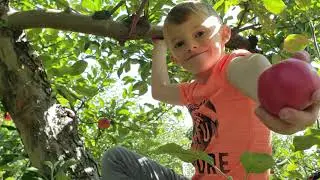 U - Pick at Blake's Orchard