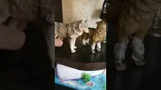 жизнь волков 2🐺 3 часть
