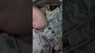 Лучше в бочке чем в банке)#хобби #копилка #money #монеты #коплю #мелочь #деньги#топ