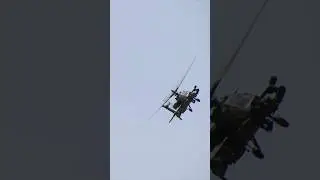 Hoe gaat een vliegbasis om met de natuur? 🚁🌷🦆