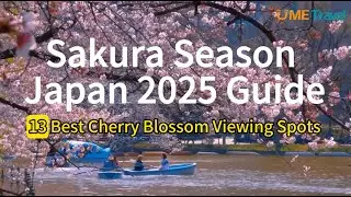 Sakura Season Japan 2025 Guide: 13 Best Cherry Blossom Viewing Spots