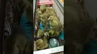выхожу с больничного, завтра.