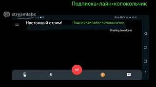 Без названия