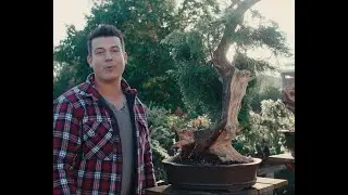APPROACH GRAFTING GARDEN JUNIPER FULL VERSION