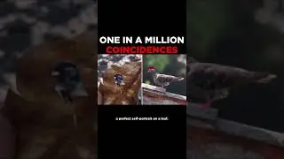 Coincidence? #coincidence #coincidences
