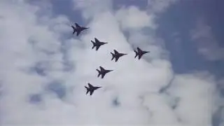 Стрижи Железноводска