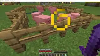 MINECRAFT COM A TON