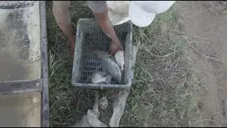 MỘT BUỔI ĐI ĂN HÔI CÁ ÔNG CẬU CỦA HAI ANH EM .