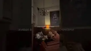 Живая встреча с подписчиками в Минске