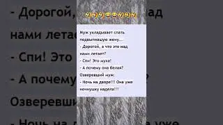 Муж укладывает спать жену #юмор #афоризмы #цитаты #шутки