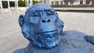 King Kong Balls Prague