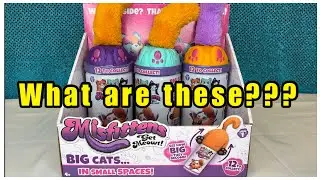 WHAT ARE MISFITTENS???  LET'S OPEN THEM!!!