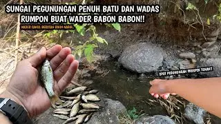 SUNGAI BERBATUAN DAN WADAS POTENSI A1!! Mancing wader teknik kumbul di sungai pegunungan umpan pelet