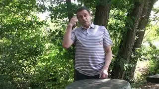 Как устранить чувство голода?  Александр Ворошилов