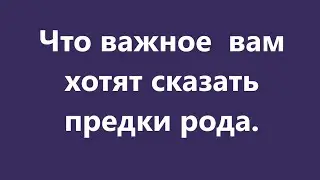 ЧТО ВАМ ХОТЯТ СКАЗАТЬ ПРЕДКИ РОДА! ОБРАТИТЕ ВНИМАНИЕ👆 💯!!! 