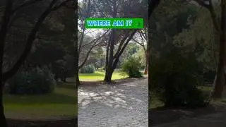 Try to Find Me 🌲👀 #scary #funny #creepy #surprise