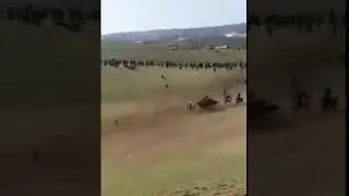 Бузкашии  НурМахмад чавандоз Н Вахш Асп бо номи Танка