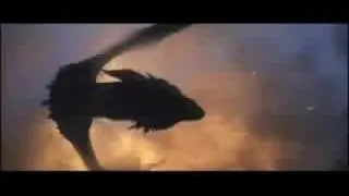 Reign of Fire - Going Down in Flames