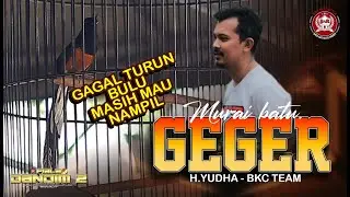 GEGER. GAGAL TURUN BULU MASIH MAU NAMPIL ACARA PIALAN DANDIM CUP2 ❗❗❗