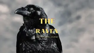 Story Of The Raven - A Motivational Journey