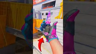 The best combinations of new knives and gloves in CS2 