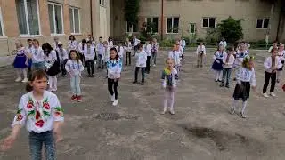 флешмоб вишиванка 2021 Кам'янка-Бузька ЗОШ №1