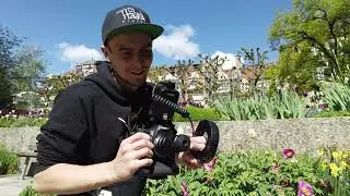 Extreme Macro Lenses: Canon MP-E65 vs. Venus Laowa 2.5-5X