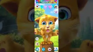 Talking Ginger Cat Eating 🎂🍓🎂🍓🎂🍓🎂🍓🎂