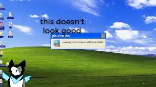 snow tries windows xp