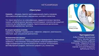 VetCamp - секция «Приступы». Описание под видео.