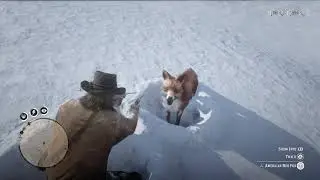 Red Dead Redemption 2 long trip through canada