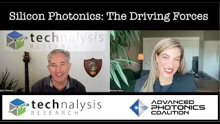 Silicon Photonics Perspectives: The Driving Forces of a New Era