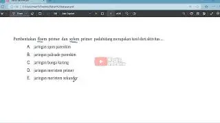 Pembentukan floem primer dan xylem primer pada batang
