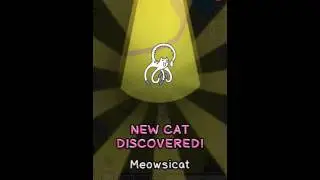 Cat Evolution #2 / DG