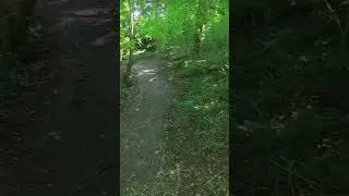 Thames River The Devil Steps Mount Cres Benfleet England U.K Europe Google Earth Google Maps #100