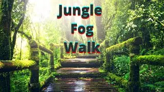 Wade through the Jungle Fog🌫️ | Soothing Meditation Sounds