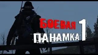 Будни панамки на Тунгуске. Stalker online (Stay out)