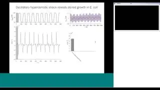 (Webinar)  For Whom the Cell Tolls:  Response of Bacterial Growth to Osmotic Shock